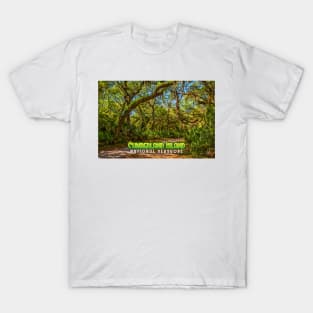Cumberland Island National Seashore T-Shirt